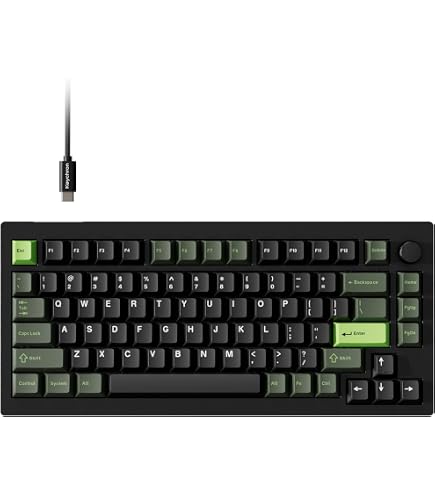 Amazon.com: Keychron Q1 RGB Wired Custom Mechanical Keyboard Knob